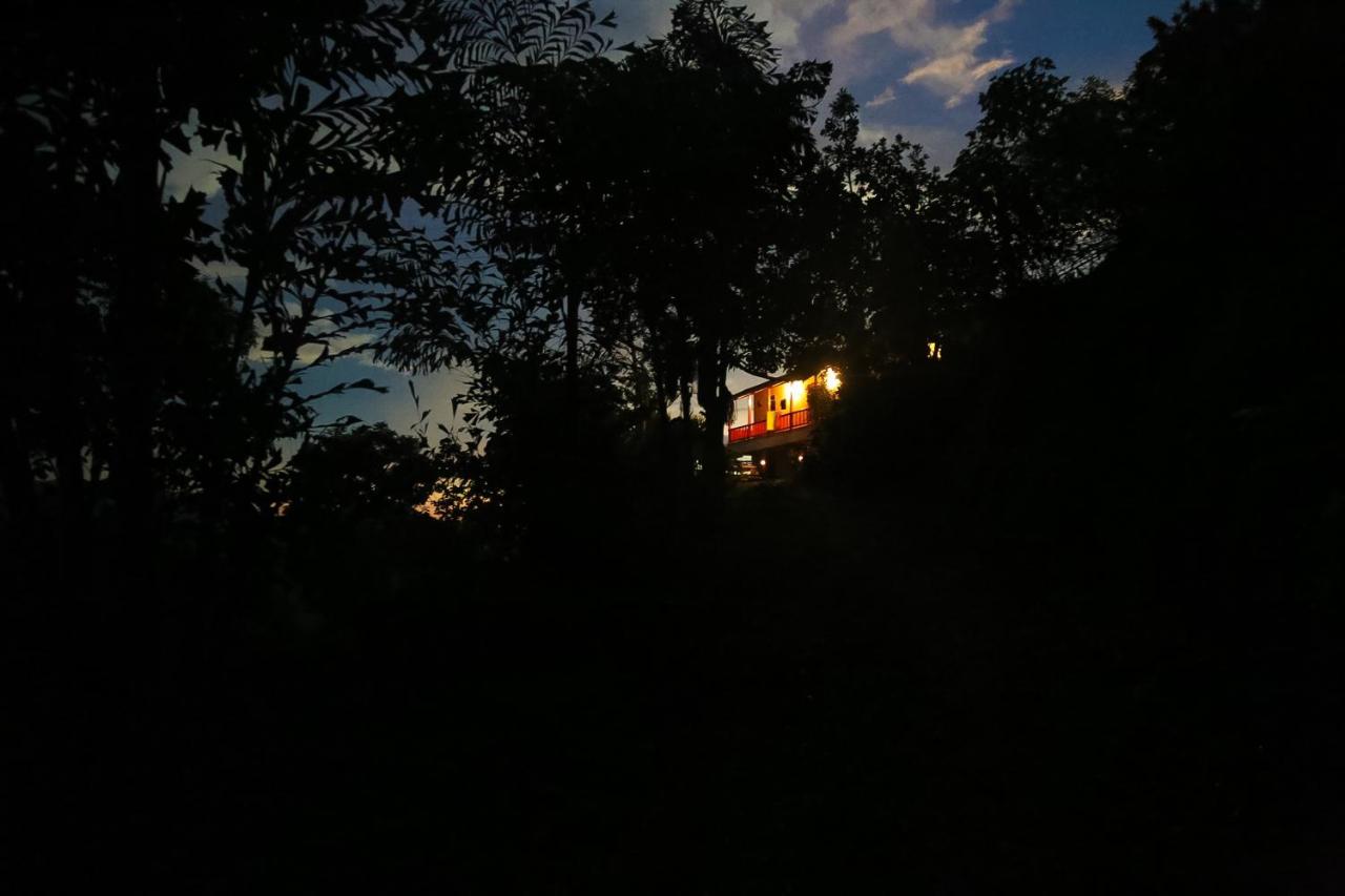 Finca San Rafael - Cafe y Cacao - B&B Minca