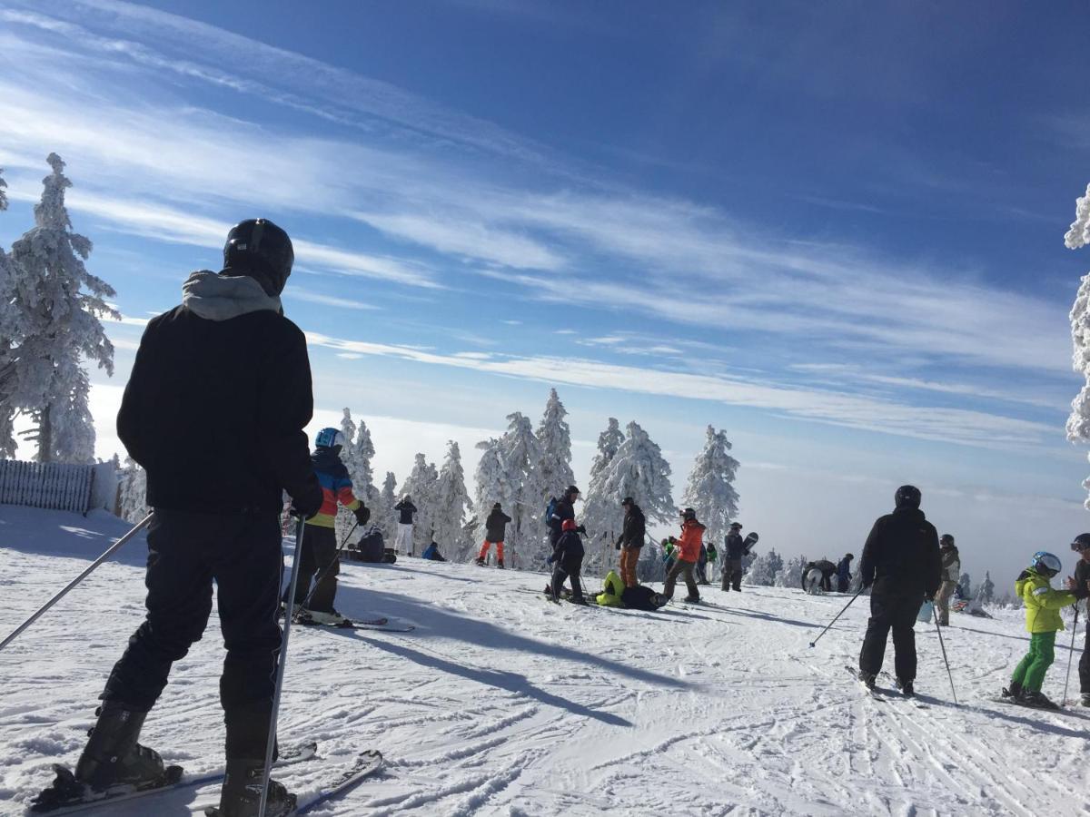 Ferienwohnung Harz-Flair 264 - Bed and Breakfast Hohegeiß