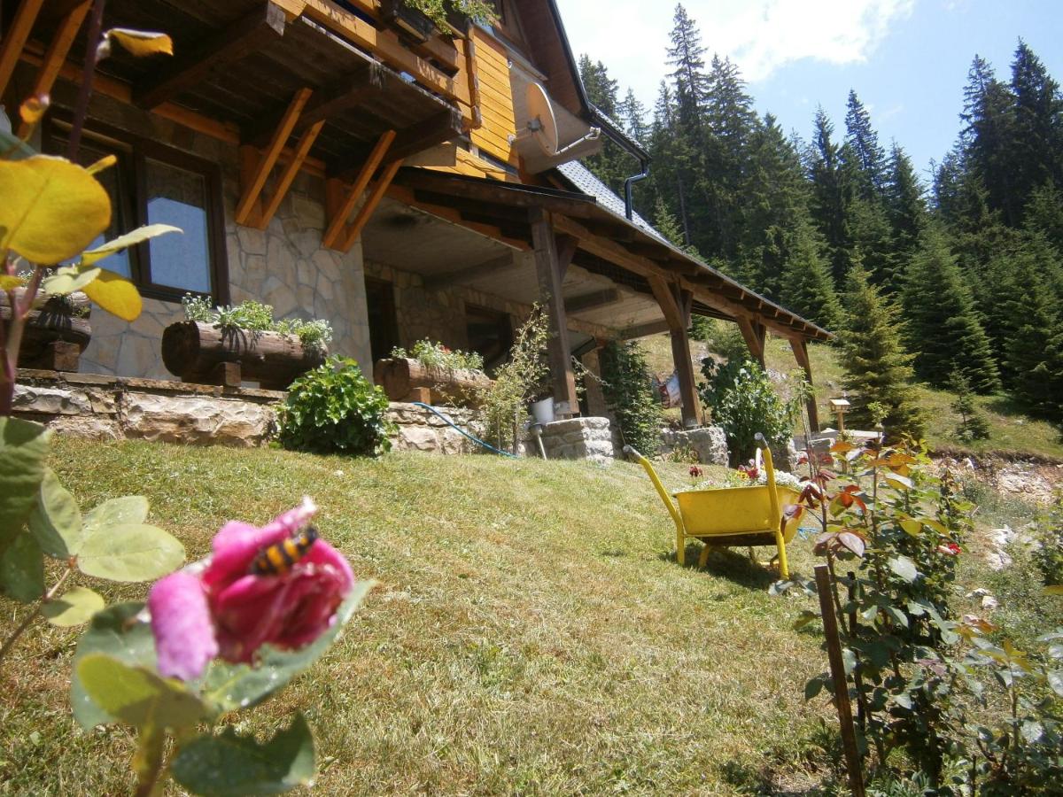 Apartments Vučko Vlašić - B&B
