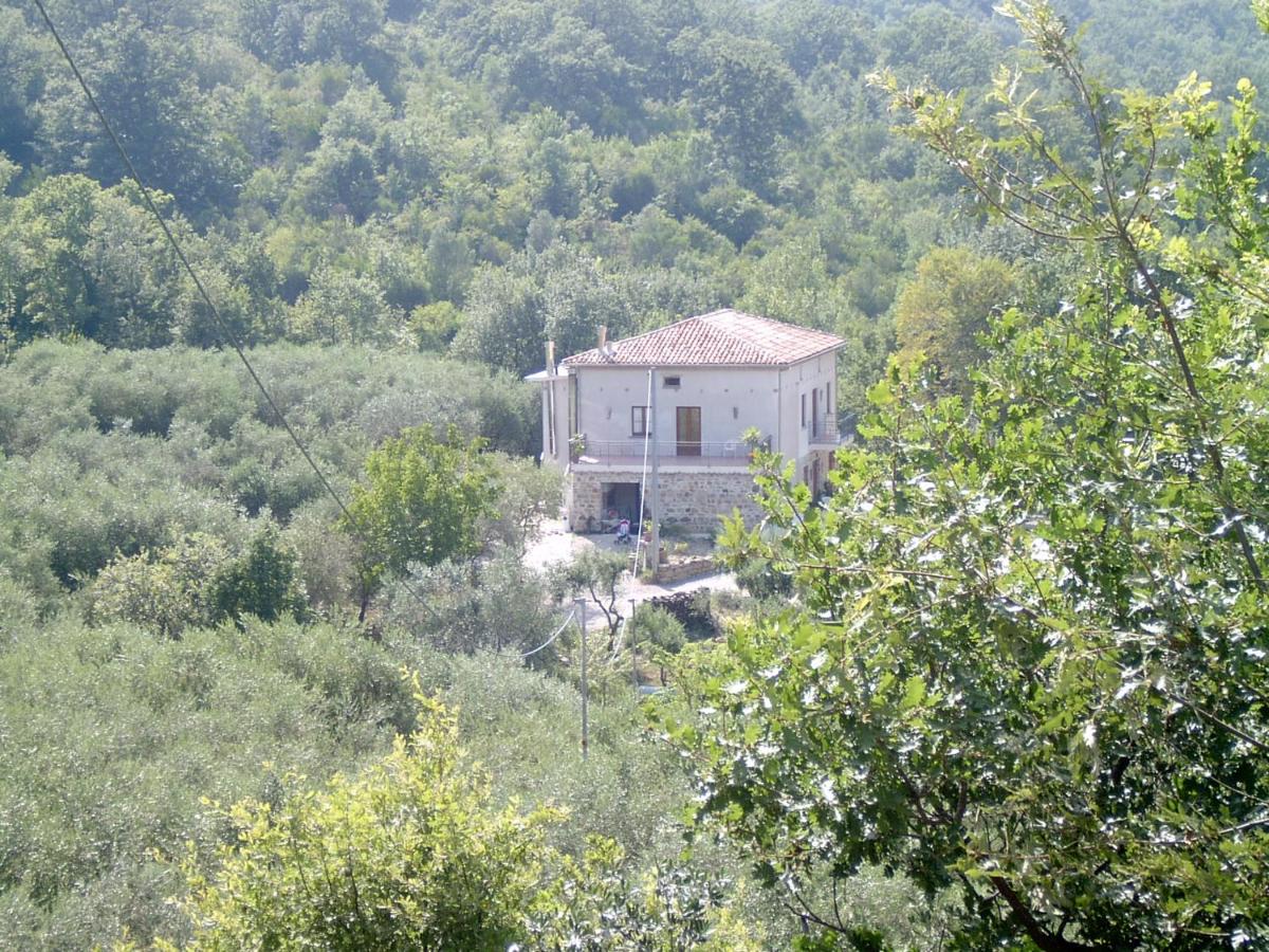 Agriturismo le Cammarose - B&B