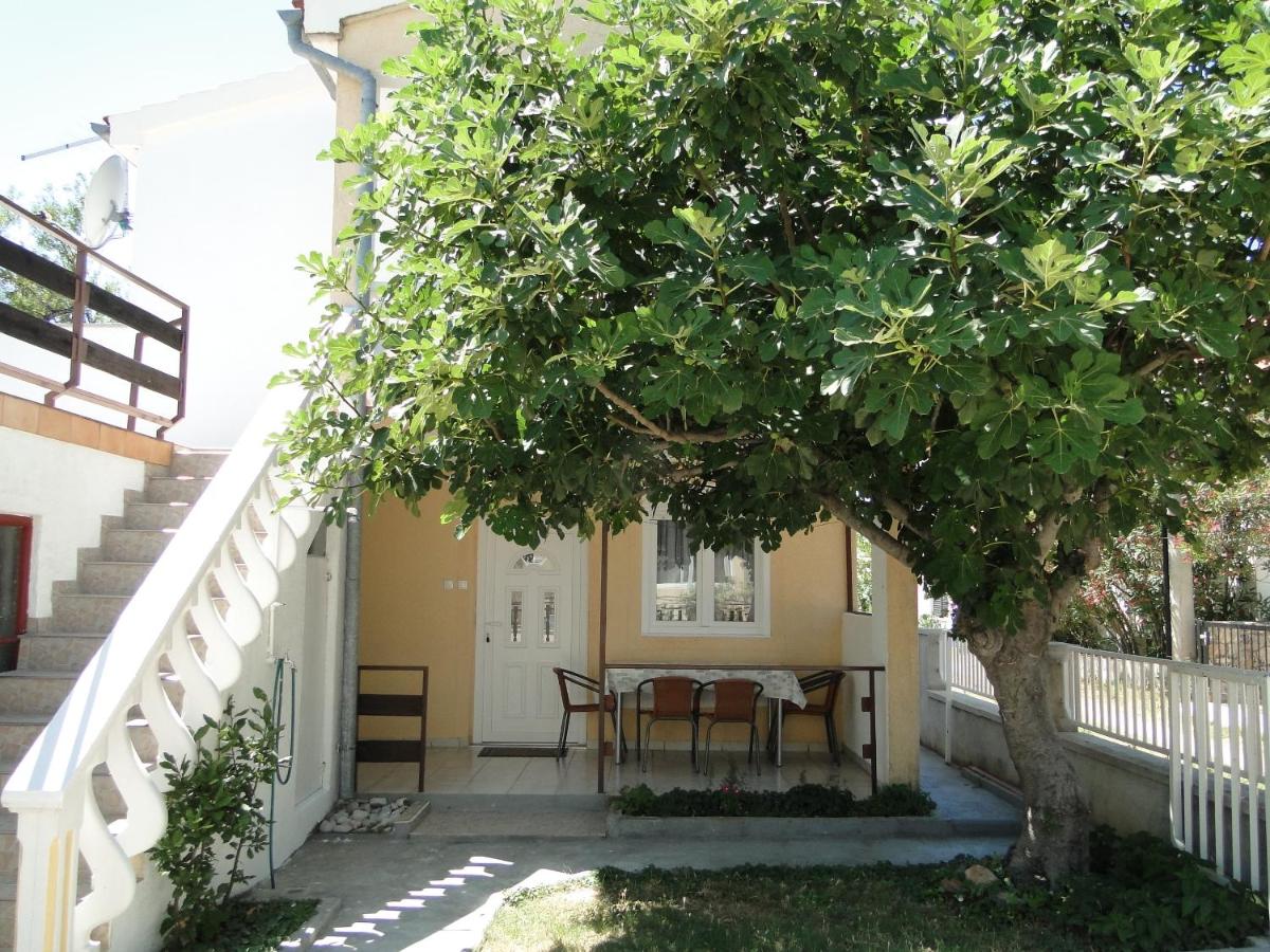 Apartment Zagi - B&B Seline