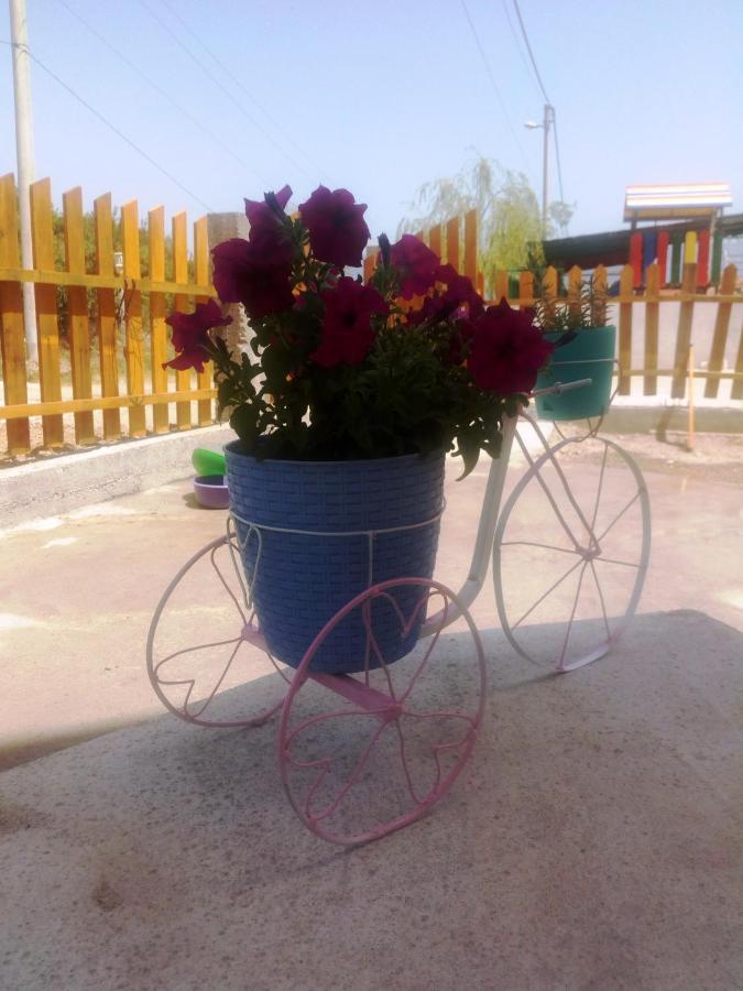 Apartments Iva - B&B