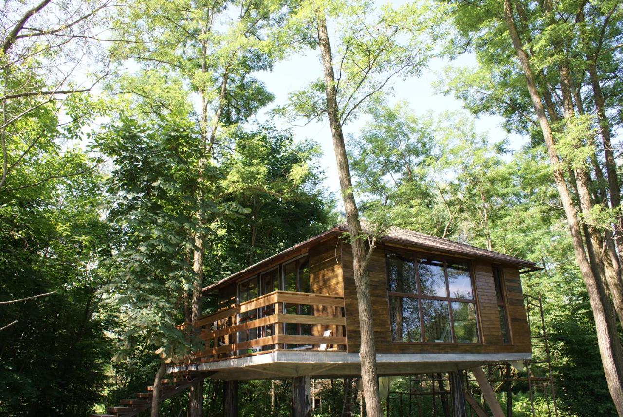 Porumbacu Treehouse - B&B