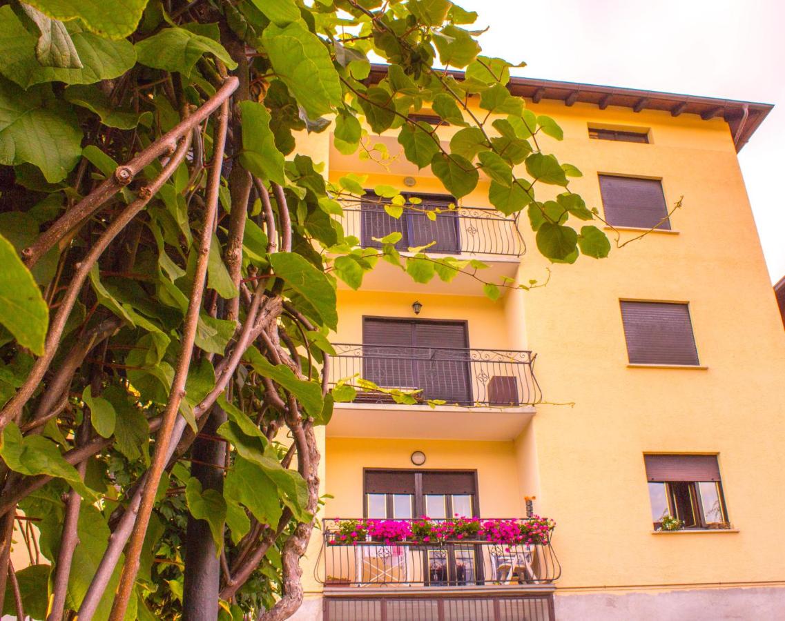 Pergolato alpino p.terra - B&B