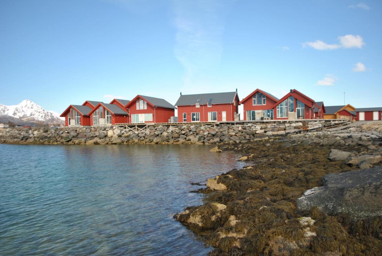 Modern seafront cabin with sauna 8 mins to Leknes - B&B Storeidet