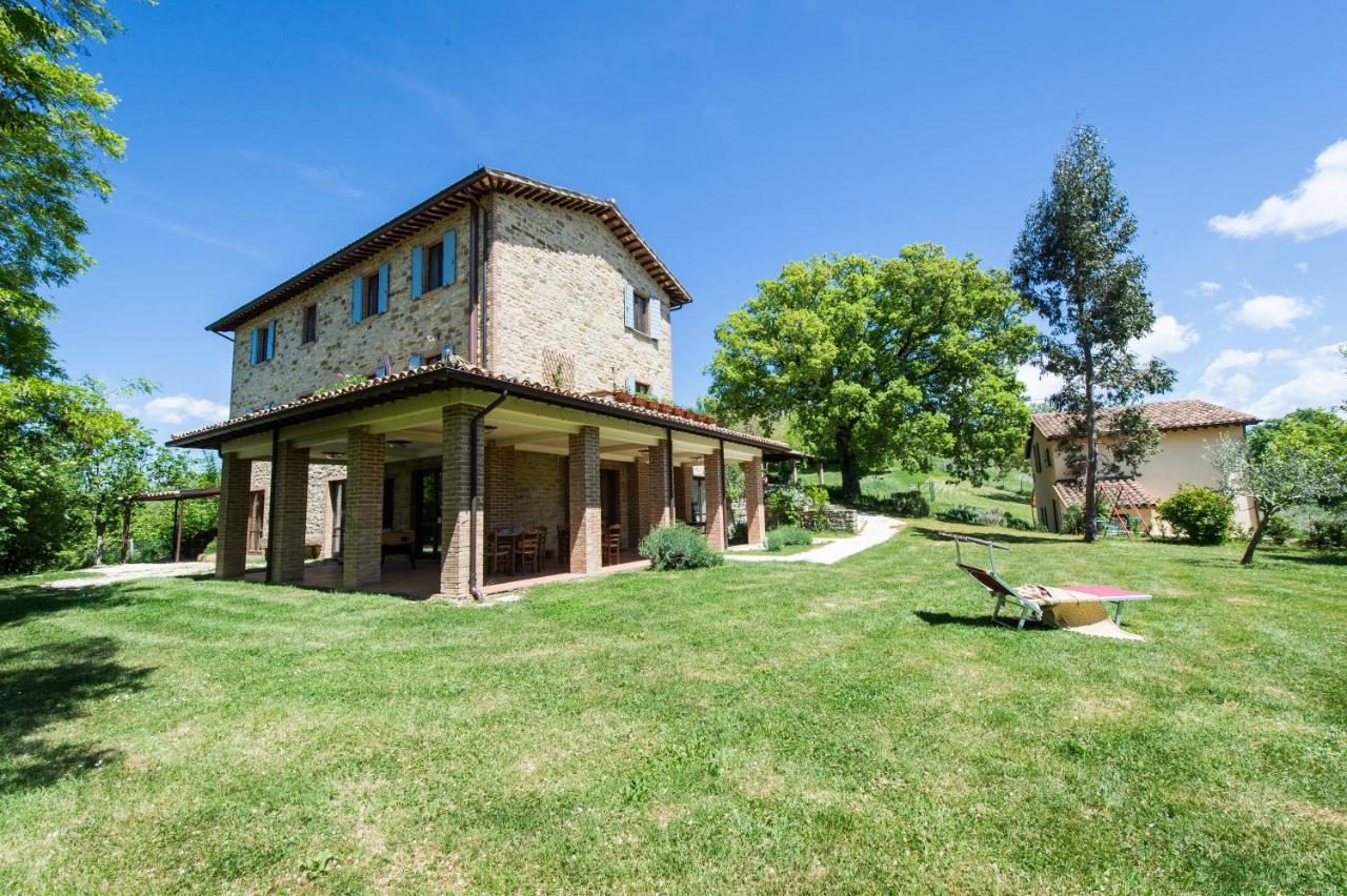 Agriturismo La Corte del Lupo - B&B