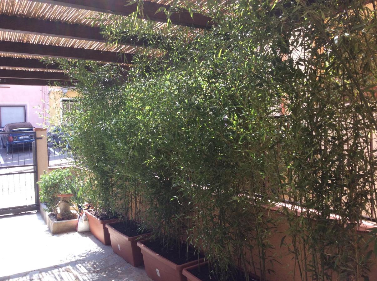 Casa Tacconi - B&B