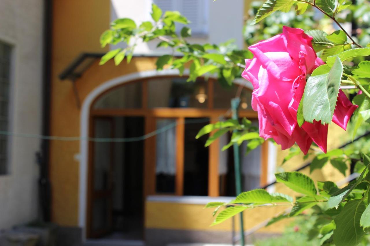 Rose Apartment by Quokka 360 - Refined Two-Bedroom Apartment with Garden - Chambres d'hôtes Lugano
