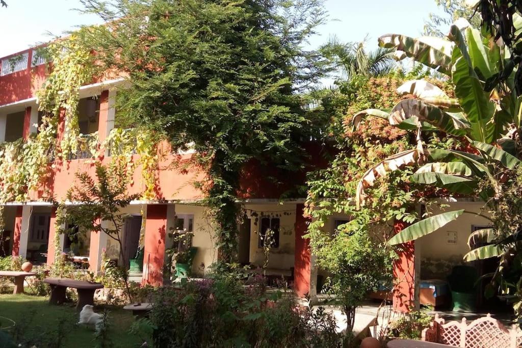 Jungle Lodge - B&B Bharatpur