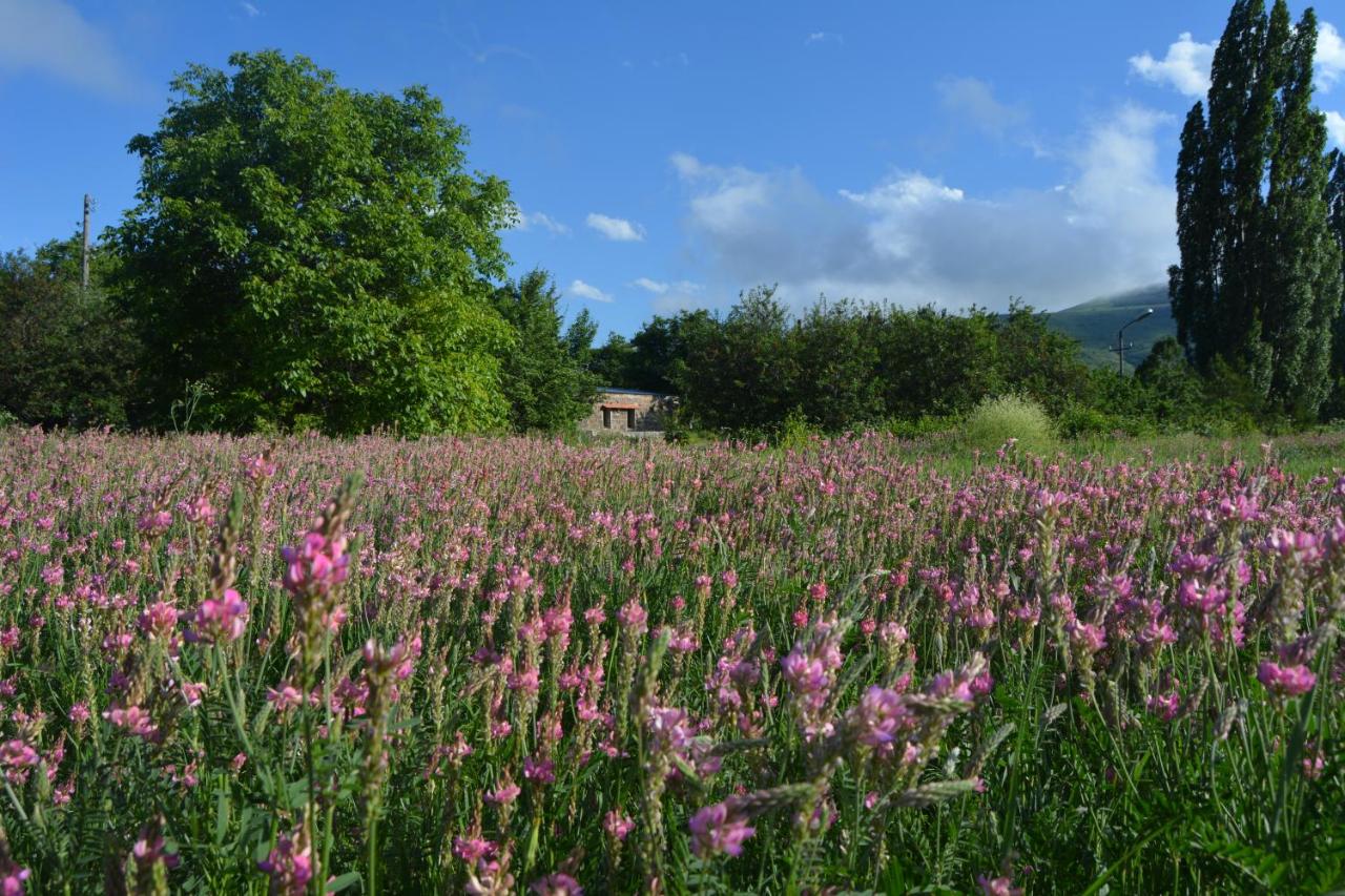 Azoyan Holiday Resort - B&B