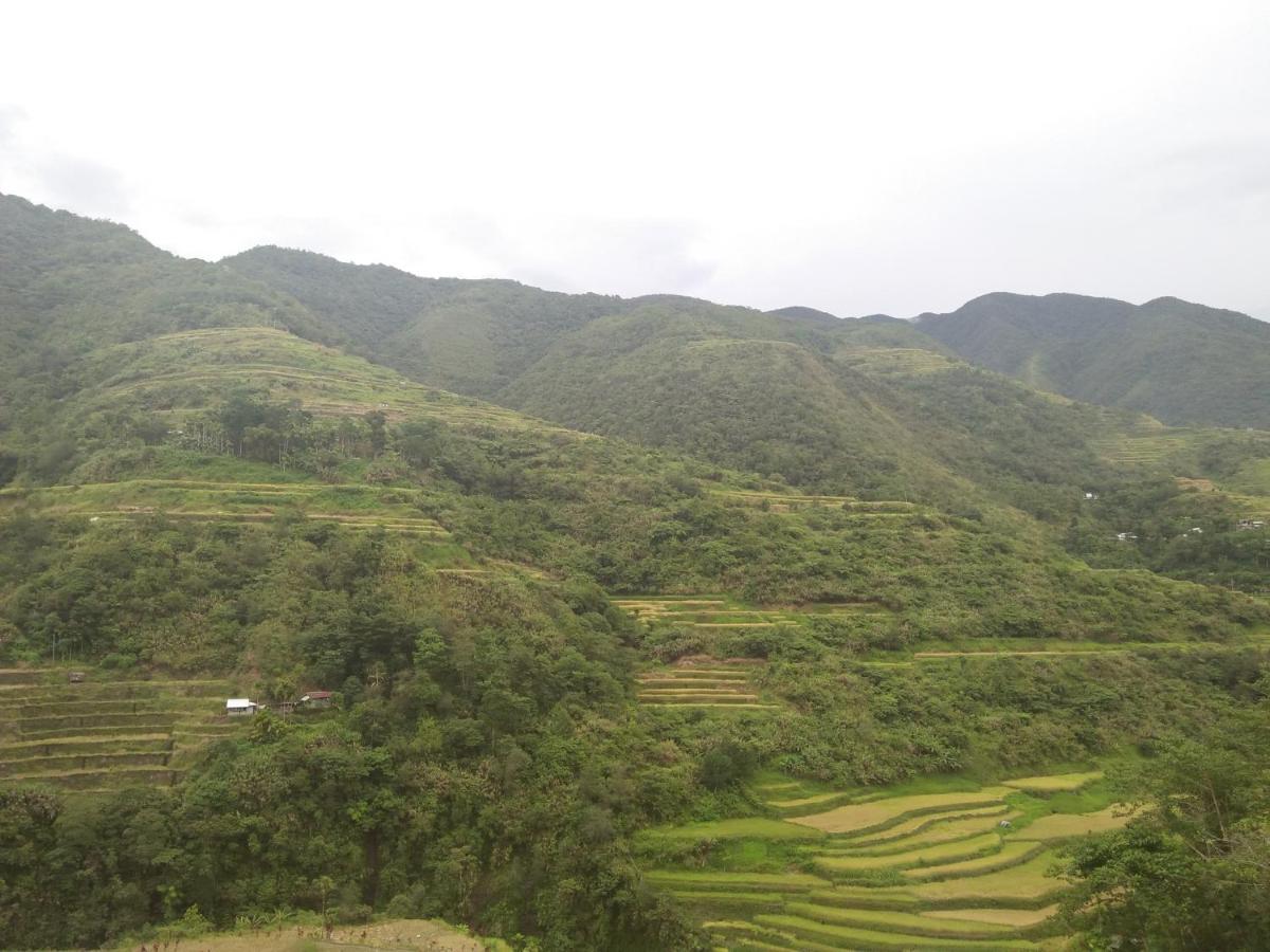 Banaue Sunrise Guest House - Chambres d’hôtes