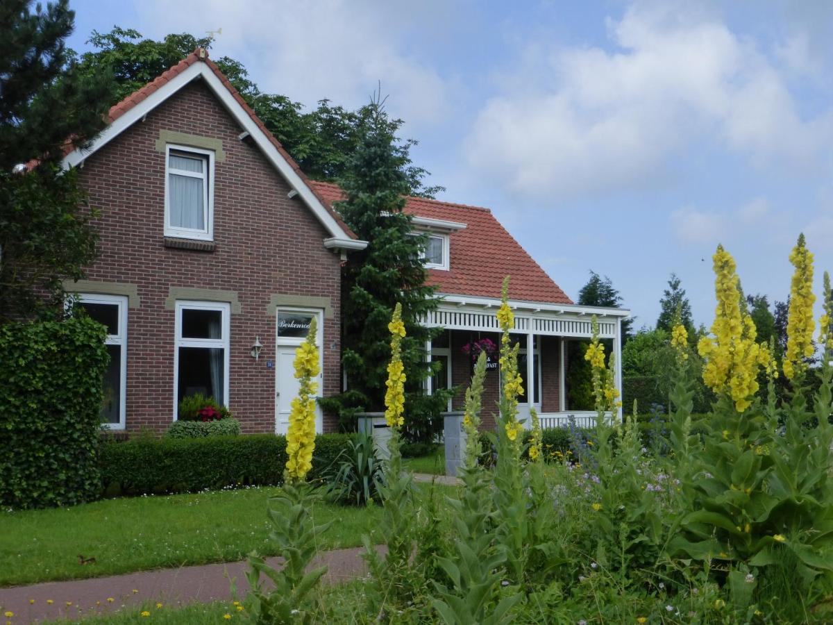 B&B Rockanje - B&B Berkenrode - Bed and Breakfast Rockanje