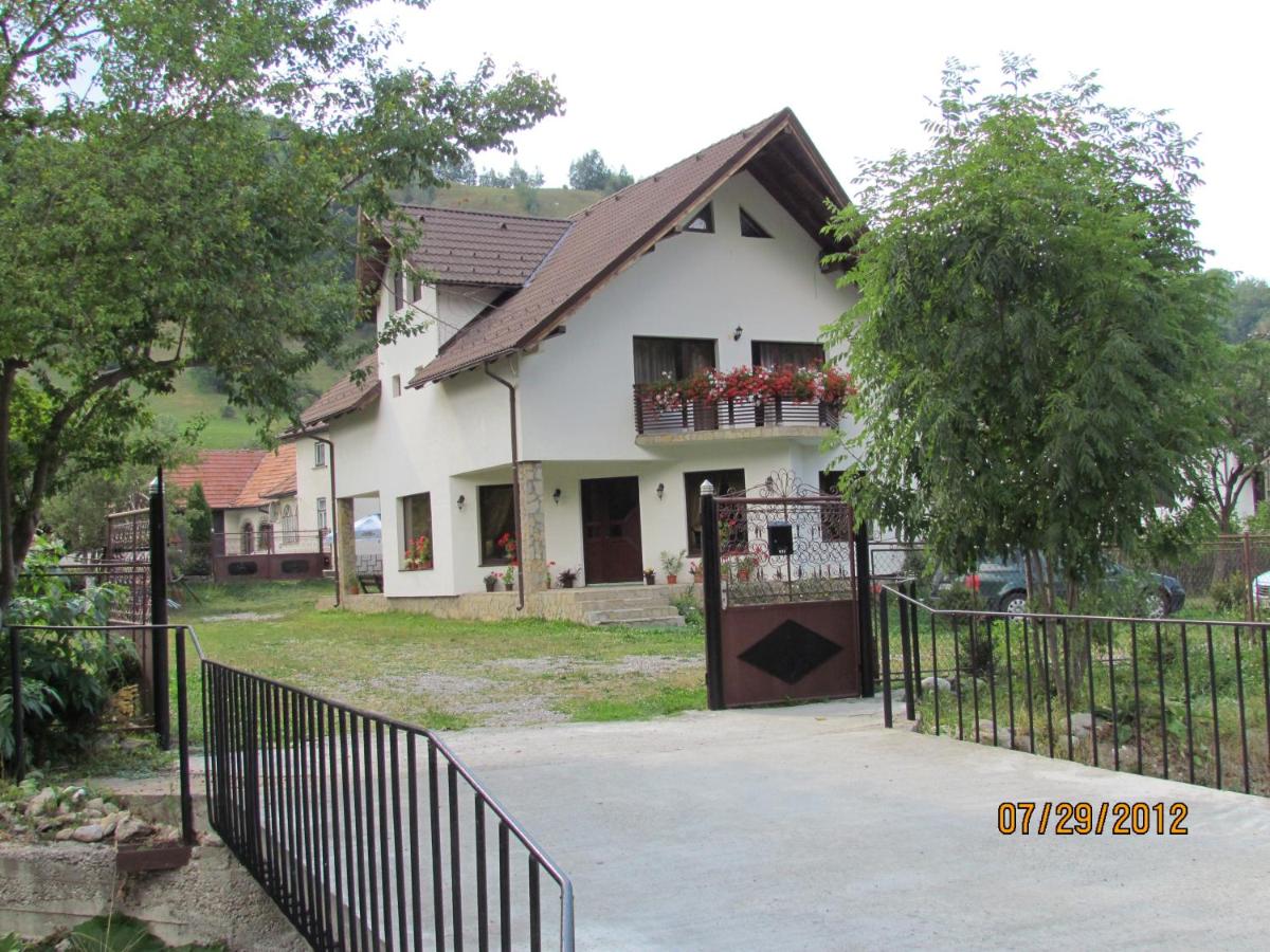 Bucuria Muntelui - B&B Bran