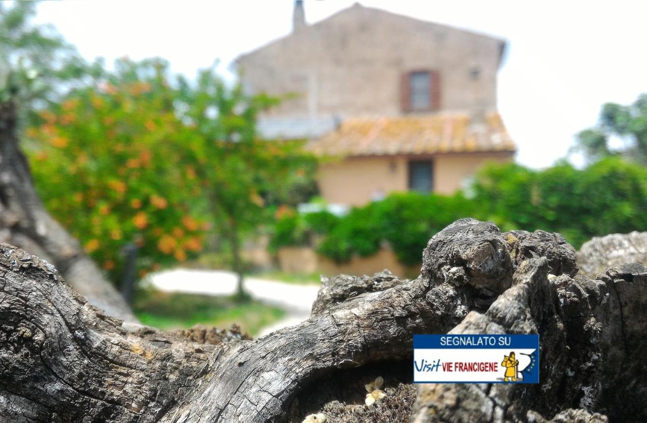 Casaletto Del Pellegrino - B&B