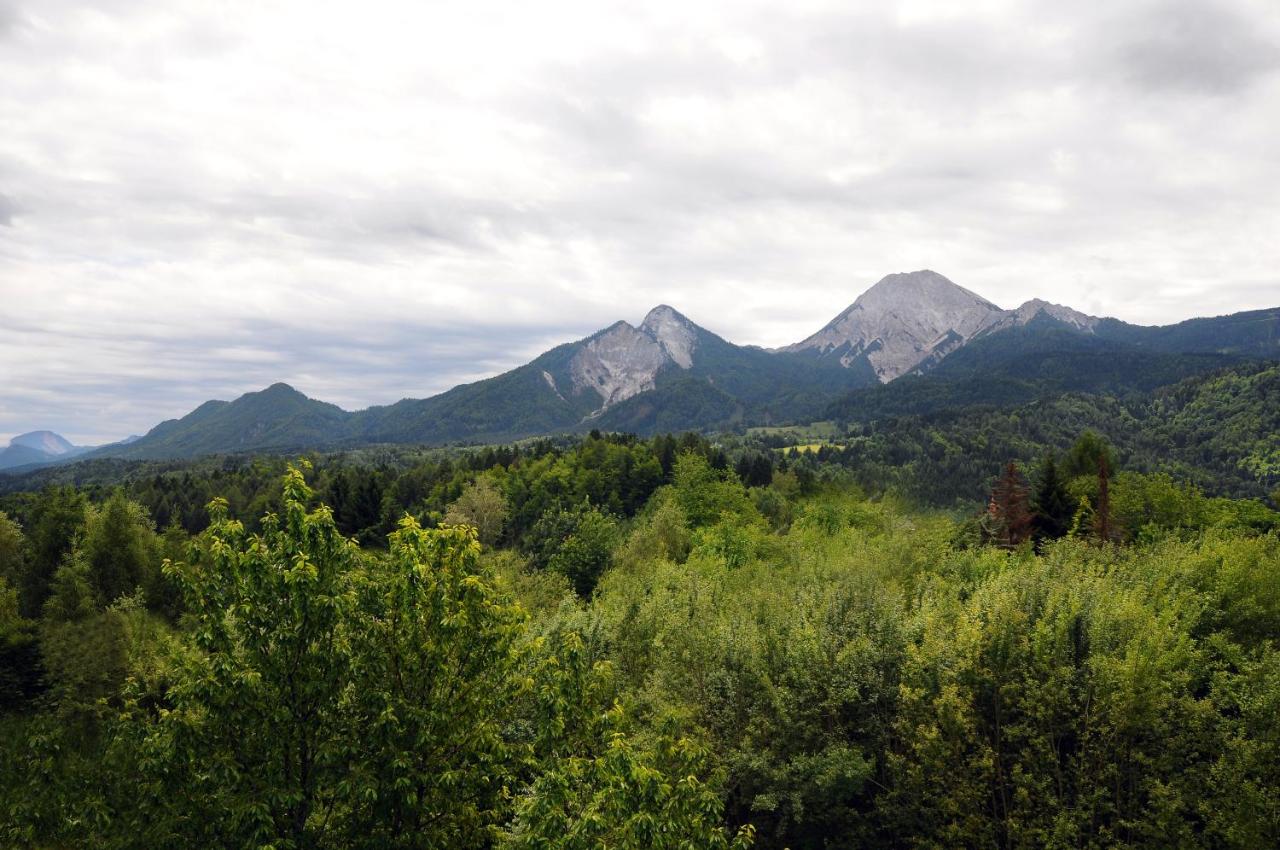 One-Bedroom Apartment with Mountain View