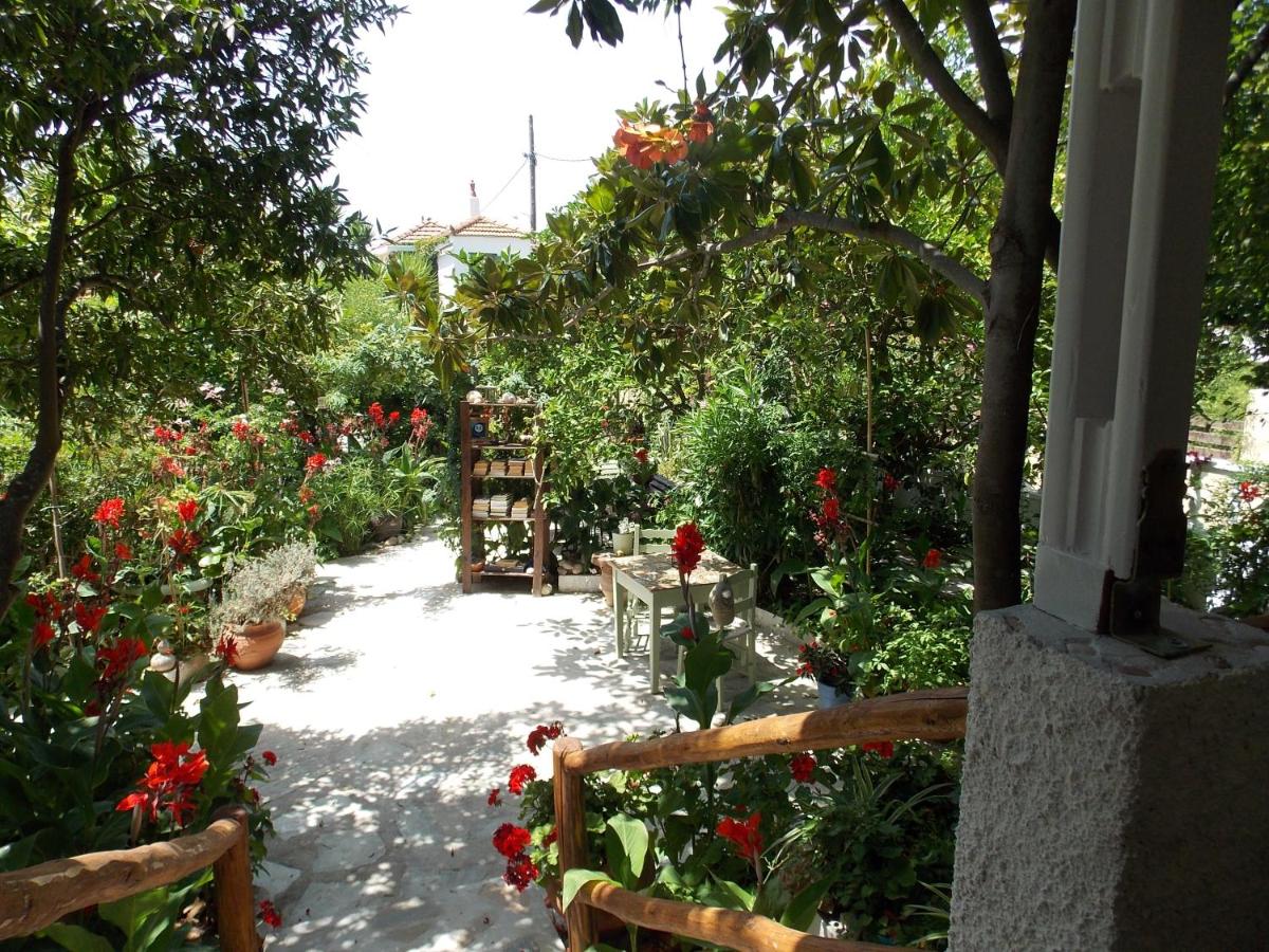 B&B Agnontas - Stamatia's Garden - Bed and Breakfast Agnontas