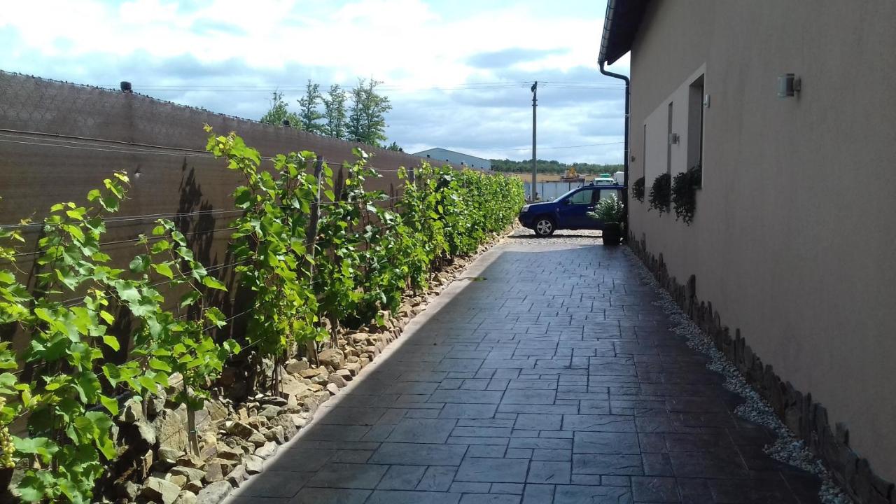 Penzion Pod Slunecnou - B&B Velké Pavlovice