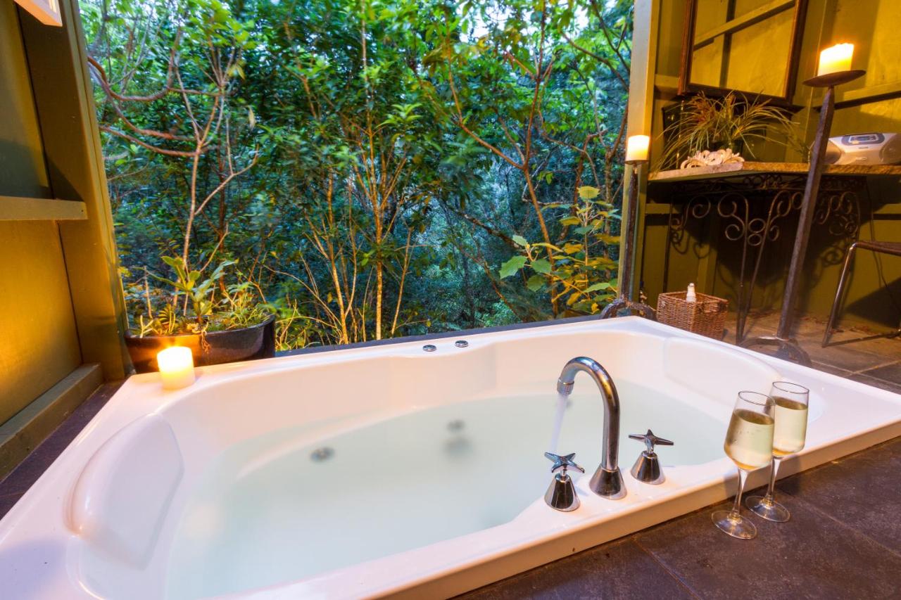 B&B Whitianga - Wairua Lodge - Rainforest River Retreat - Bed and Breakfast Whitianga