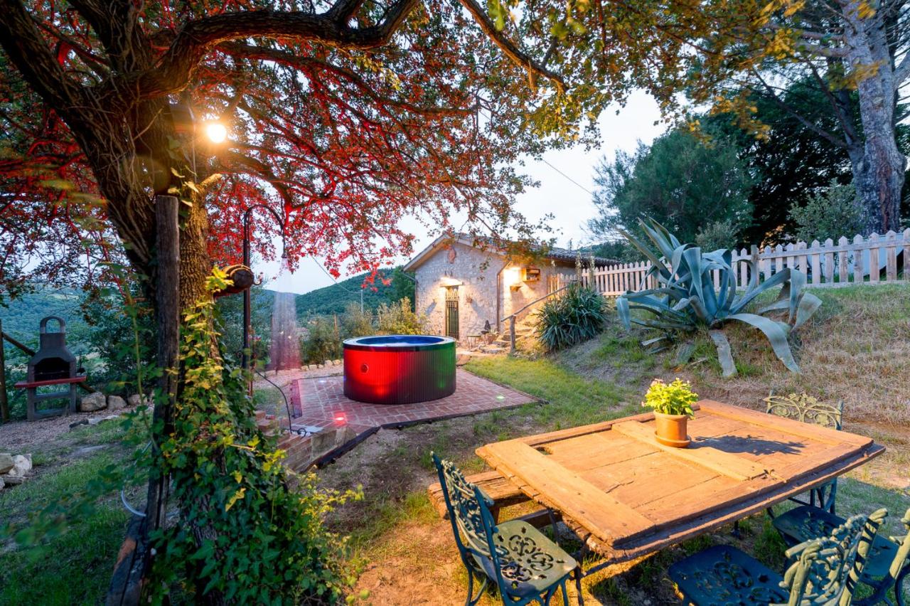 B&B San Venanzo - La Limonaia - Bed and Breakfast San Venanzo