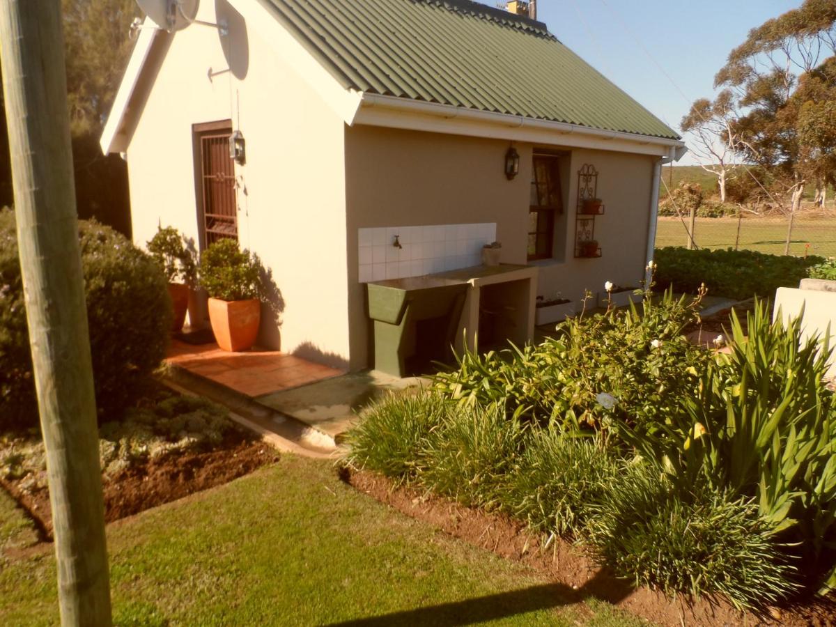 Staandakkie Guest Cottage - B&B Bredasdorp