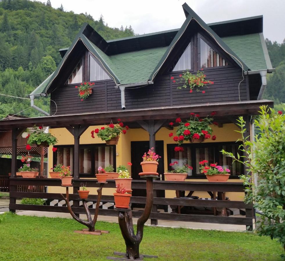 B&B Voineasa - Pensiunea Stefanescu - Bed and Breakfast Voineasa