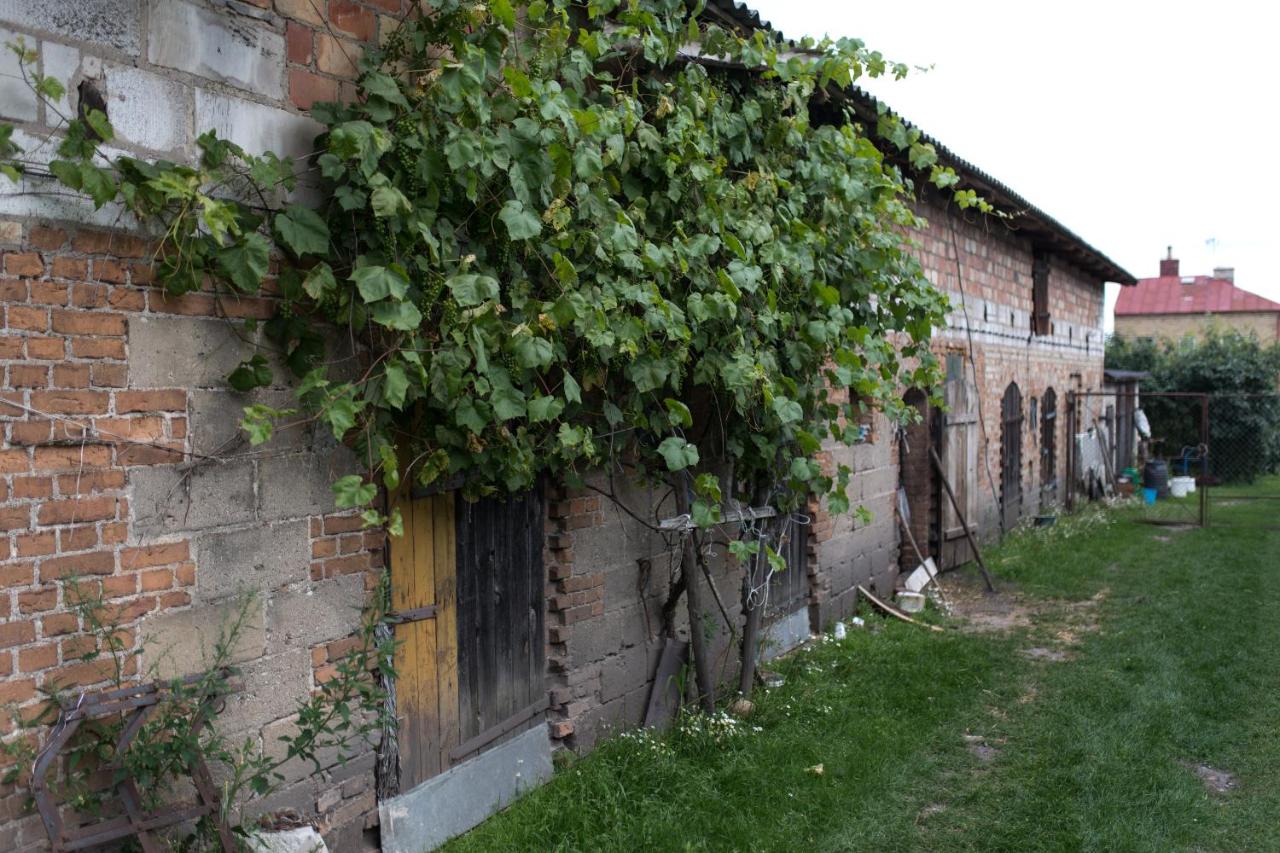 Agroturystyka Karpińscy - B&B Wizna