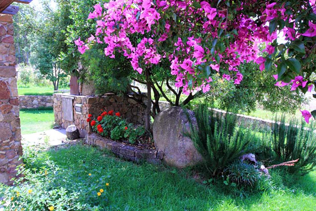 House Suestellas - B&B