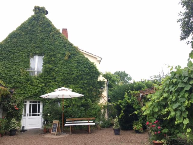 Landhaus am Deich - B&B Cluvenhagen