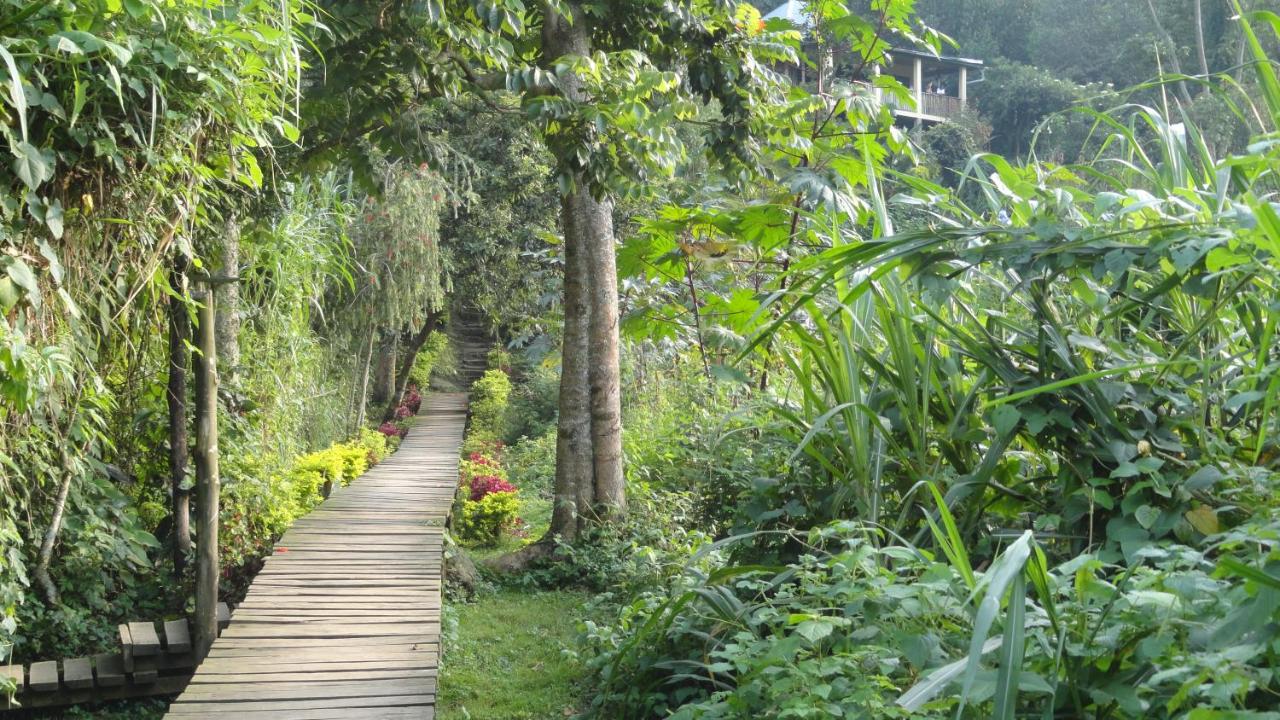 Ruboni Community Camp - Bed and Breakfast Kasese