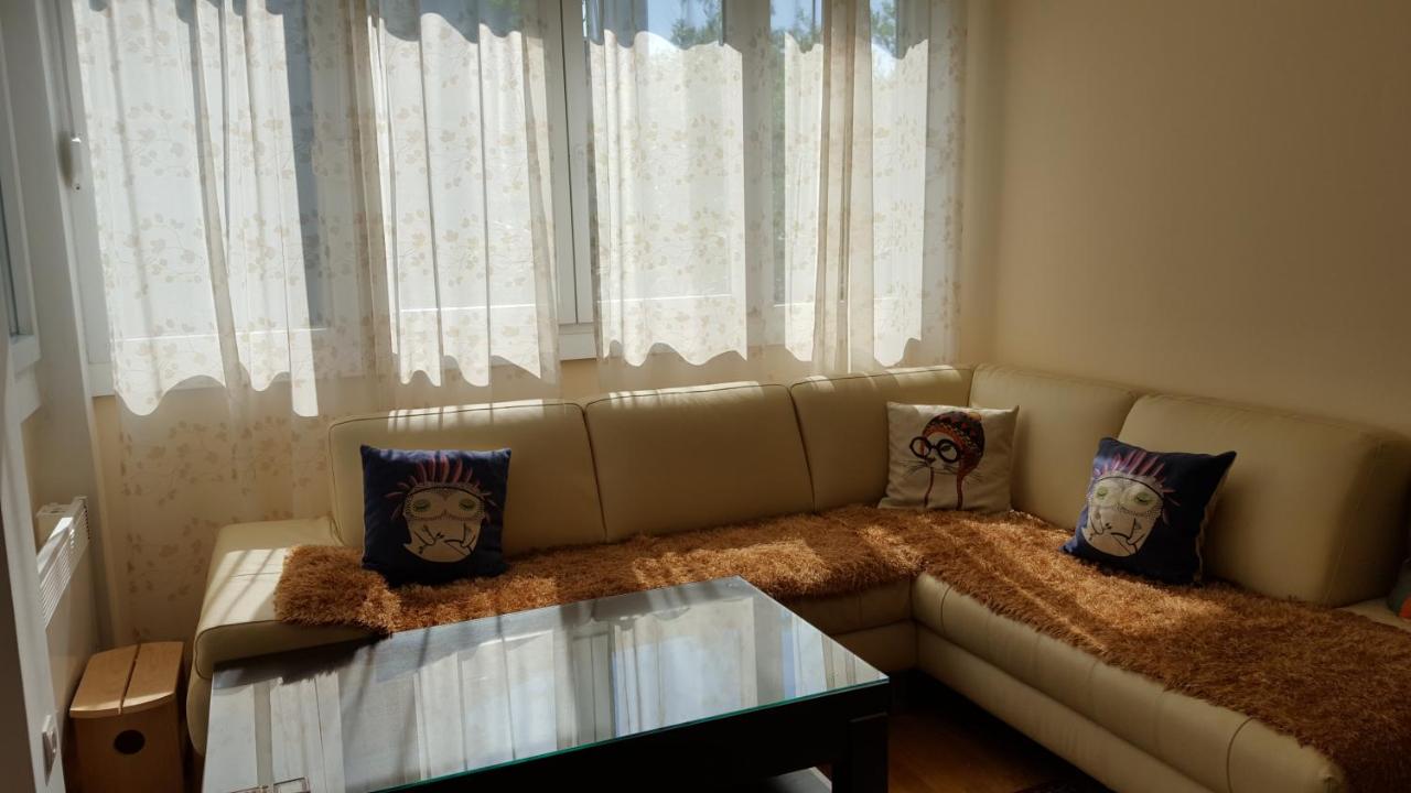 Apartman Magnolia - B&B Budva