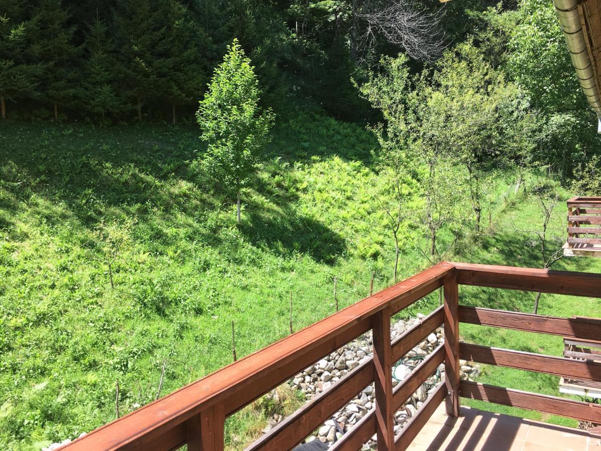 Pensiunea Mirani - B&B
