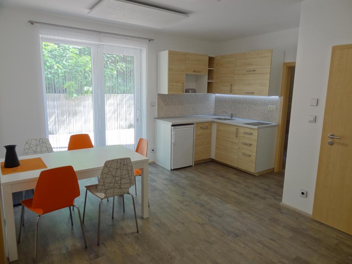 Apartment with Terrace