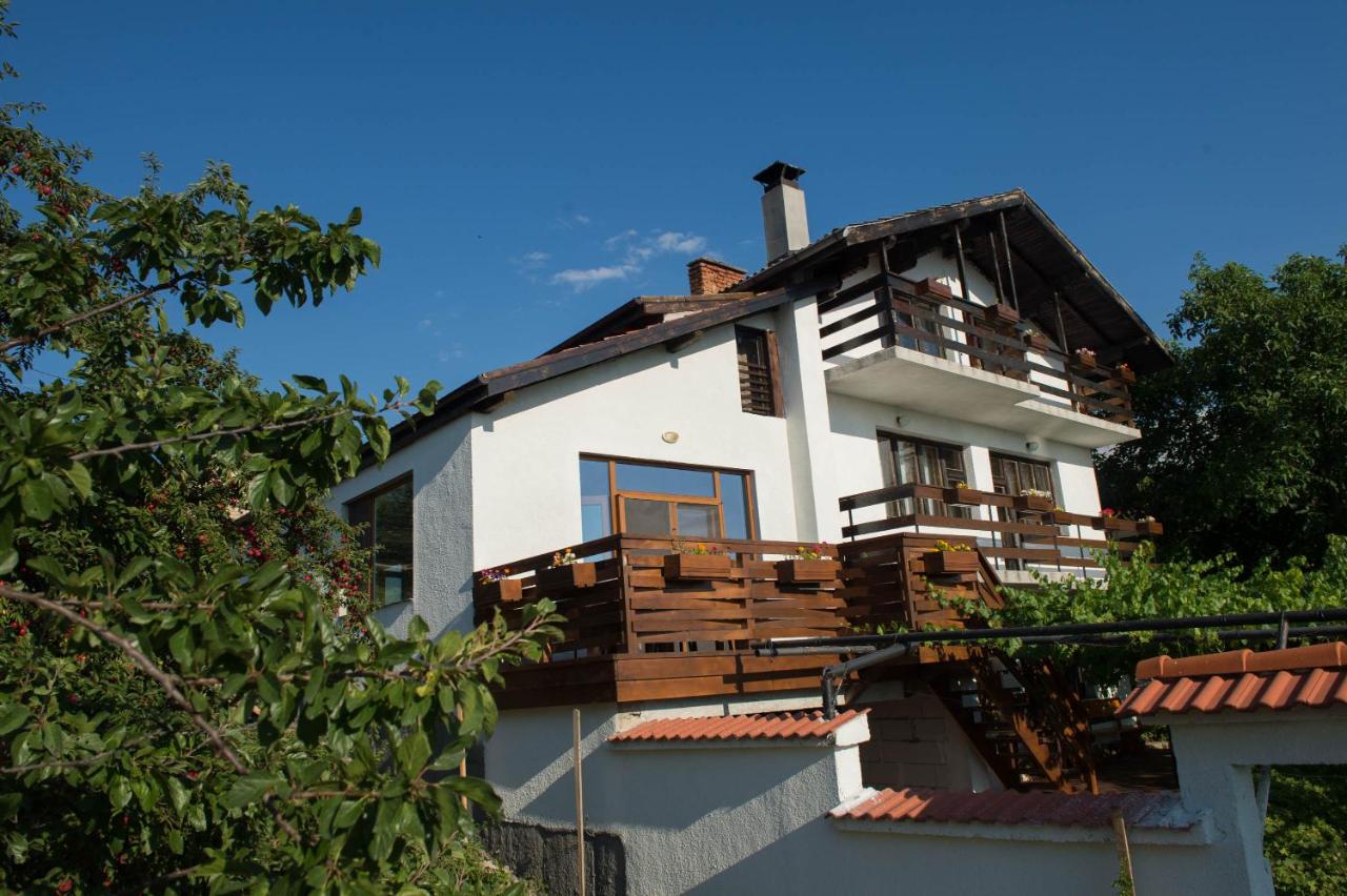 Superior Villa
