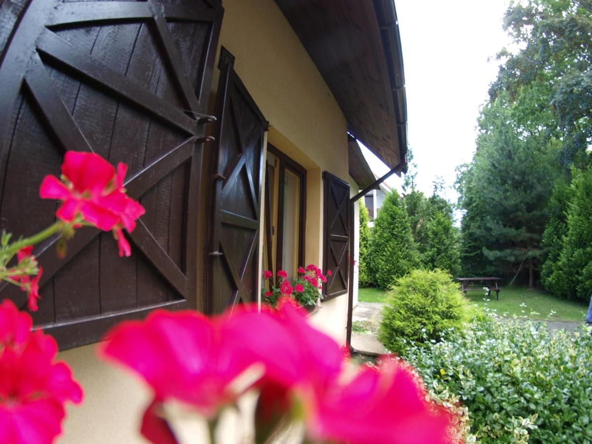 Dom Gościnny Harry - B&B