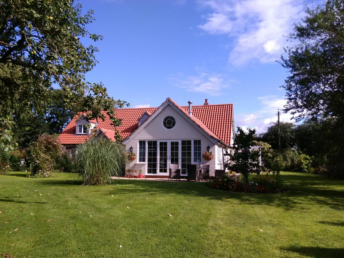 White Cottage B and B - B&B