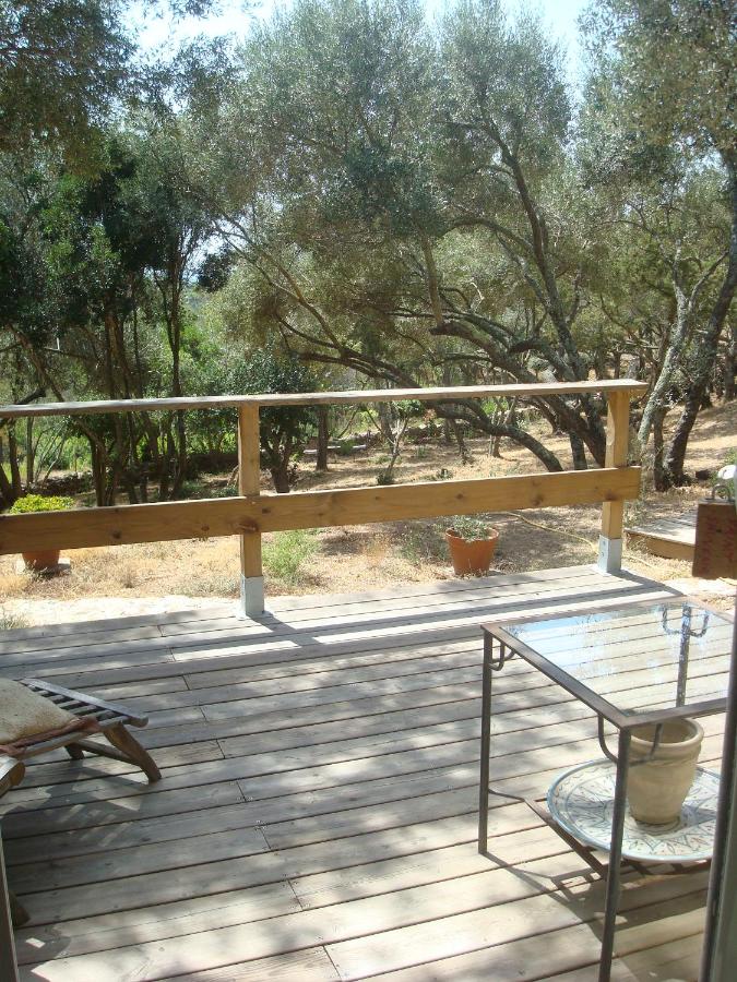 Double Room with Terrace