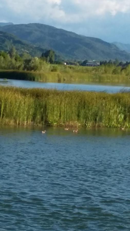 Pensiunea Lacul Albesti - B&B Albeştii Pământeni