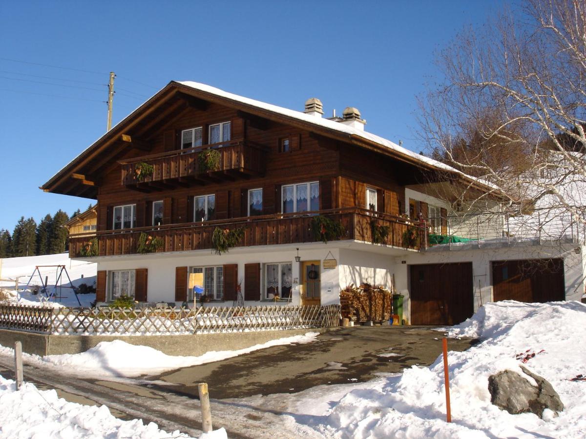 Chalet Sunneschyn - Ferienwohnung