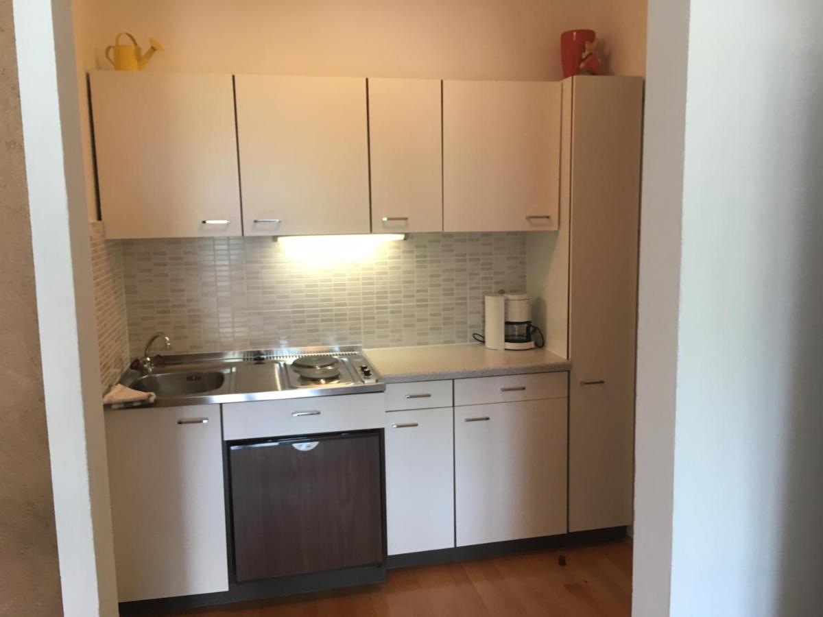 Apartment with Lake View