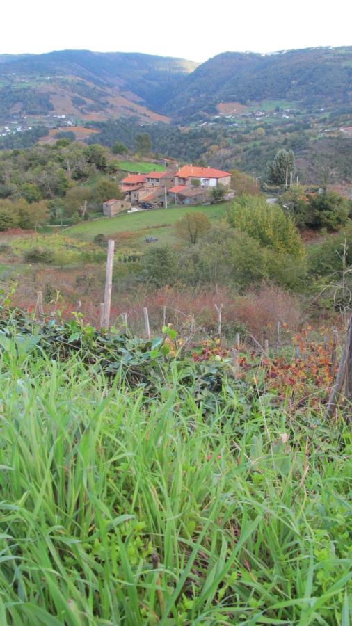 Casa do Solpor - Bed and Breakfast