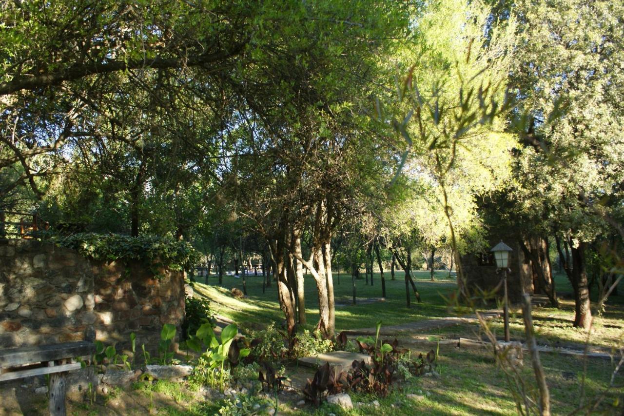 Magenta Complejo Cabañas & Spa - Bed and Breakfast