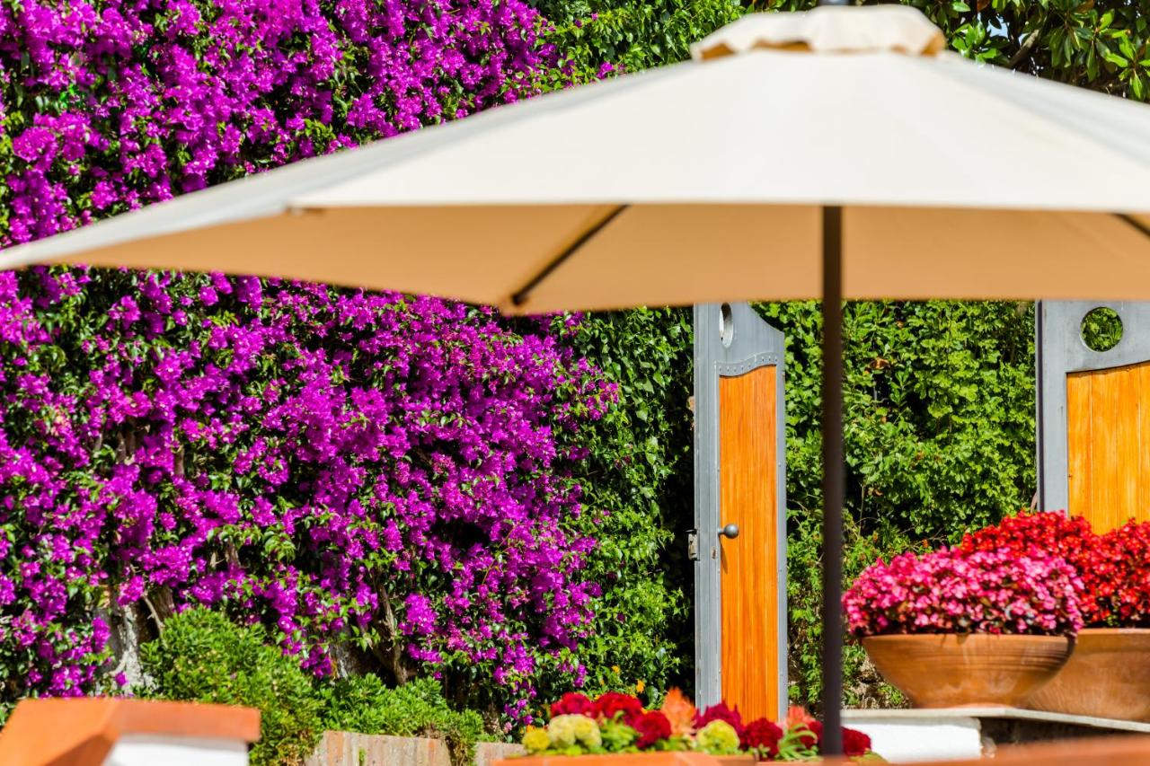 Villa Araucaria - B&B