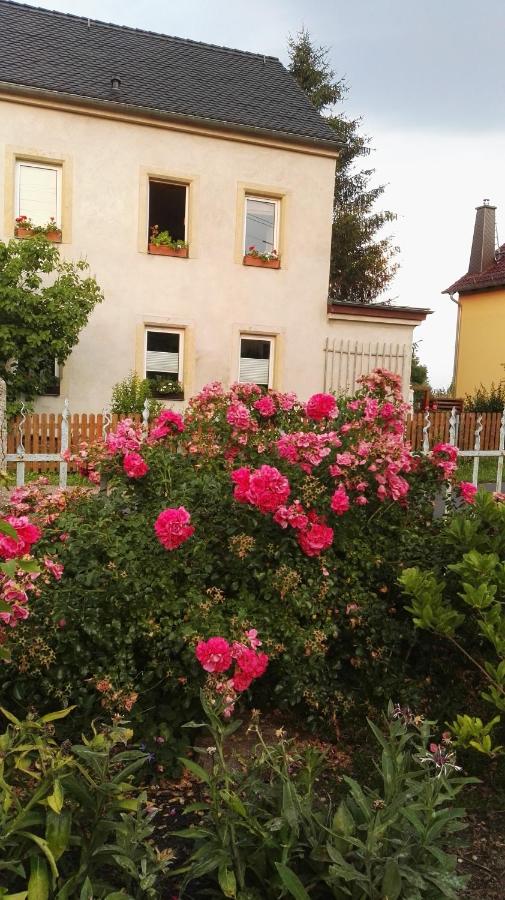 B&B Misnia - FeWo Strohbach - Bed and Breakfast Misnia