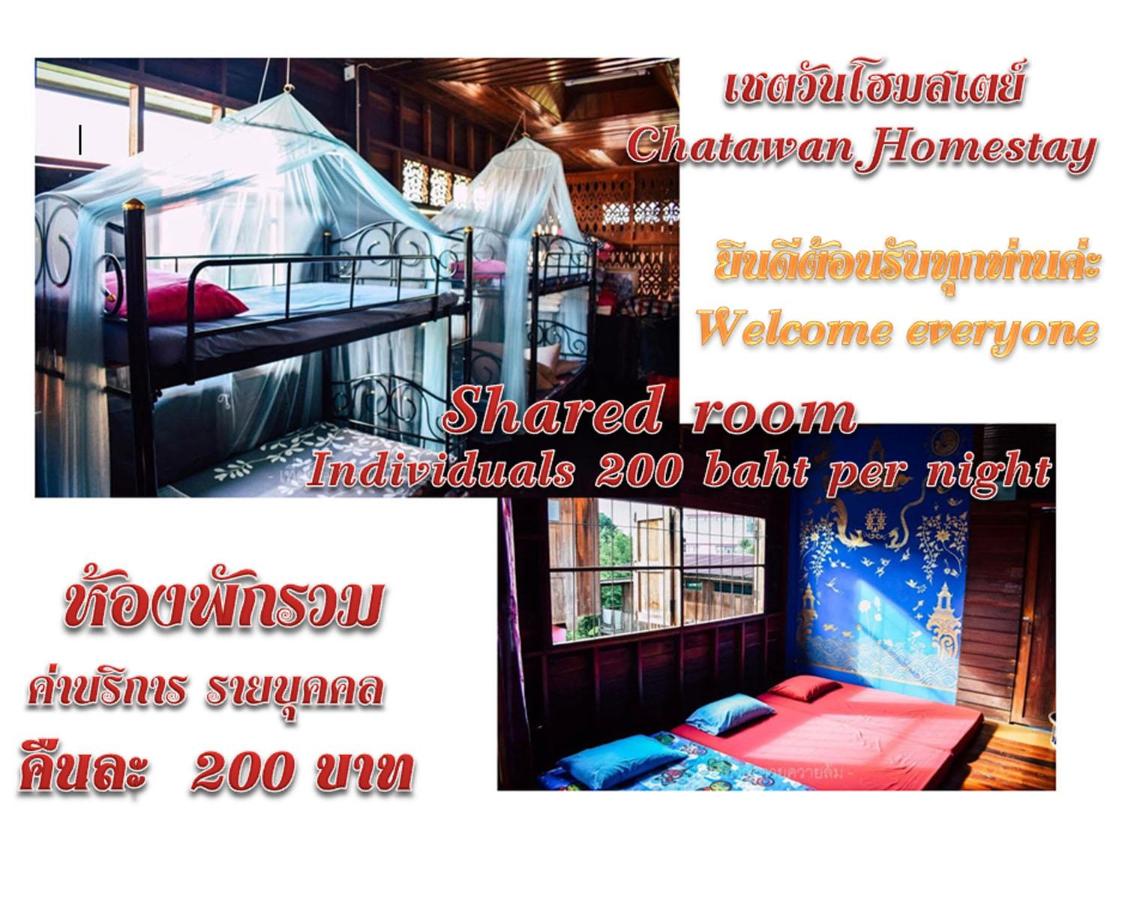 Bunk Bed in Mixed Dormitory Room