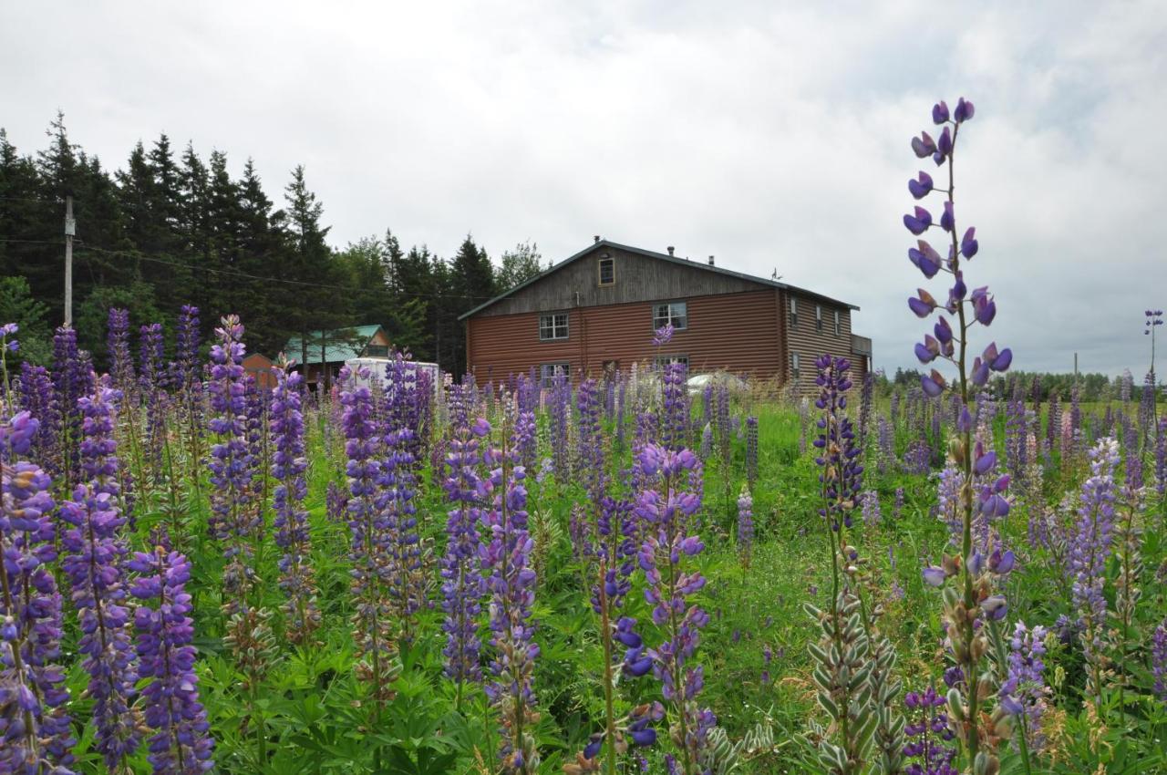 Powley's Wild Goose Lodge - Bed and Breakfast