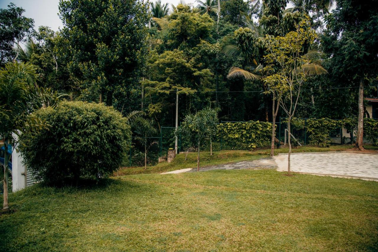 Thomasz Lodge - B&B