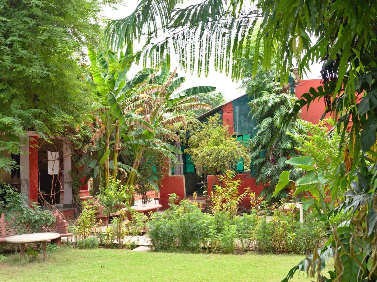 B&B Bharatpur - Jungle Lodge - Bed and Breakfast Bharatpur