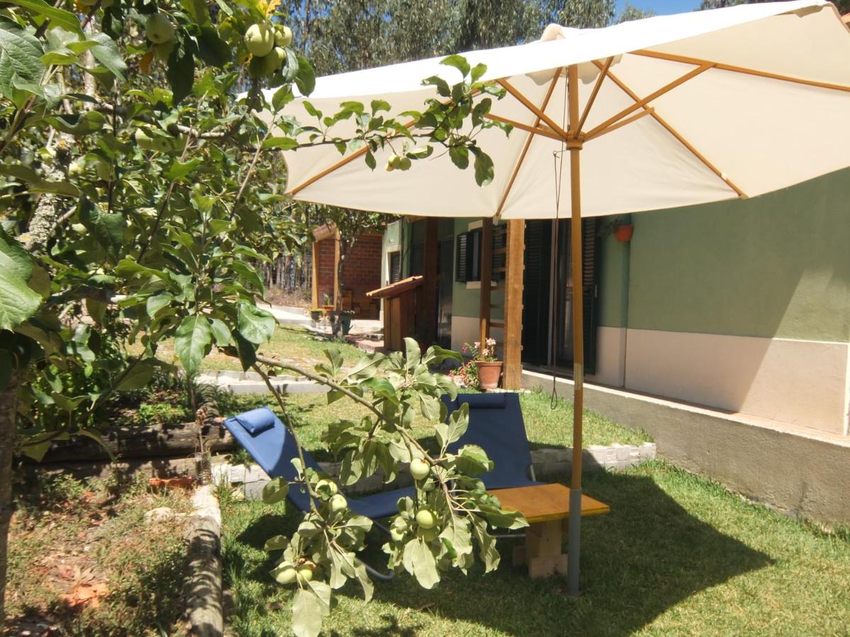 B&B Nadadouro - Ecobosque - Bed and Breakfast Nadadouro