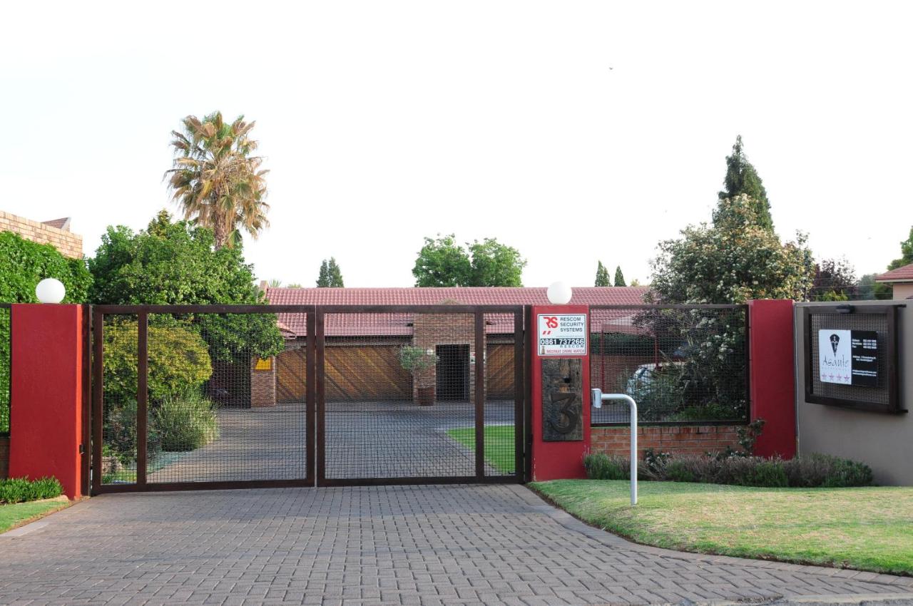 Asante Guest House - B&B