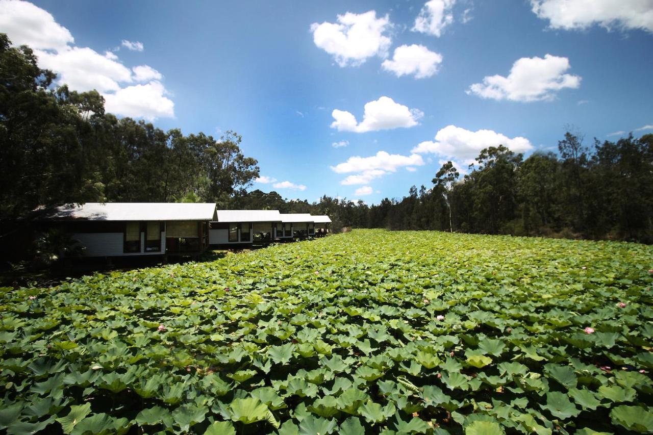 The Boathouses at Leaves & Fishes - Ferienwohnung Lovedale